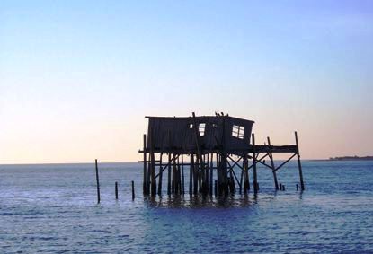 cedar key honeymoon cottage