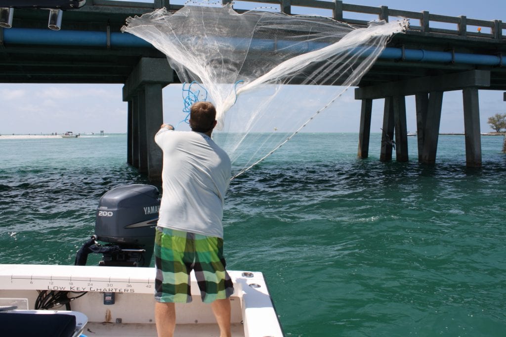 mike adams - how to throw a cast net