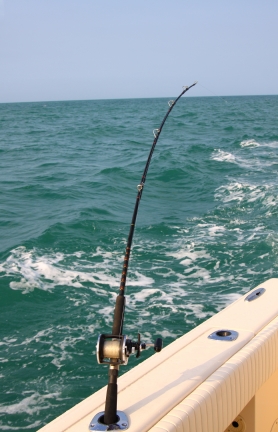 fishing in longboat key