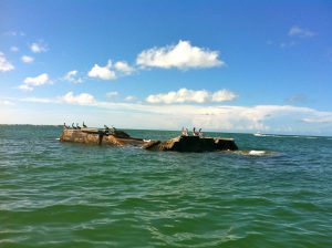 Egmont Key ruins