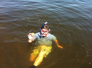 scalloping in steinhatchee